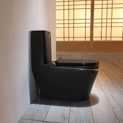 Black Toilet Siphon Flushing Sanitary Ware Toilet