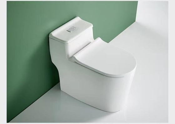 One Piece Dual Flush Sanitary Ware Toilet Floor Mounted 3D Design