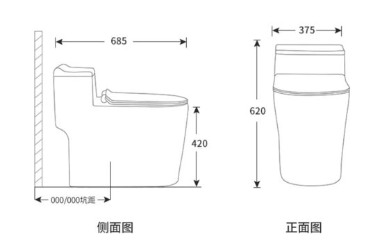 One Piece Dual Flush Sanitary Ware Toilet Floor Mounted 3D Design