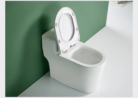 One Piece Dual Flush Sanitary Ware Toilet Floor Mounted 3D Design