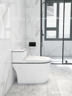 White Gold Siphon Flushing Modern Toilet Bowl Ceramic One Piece