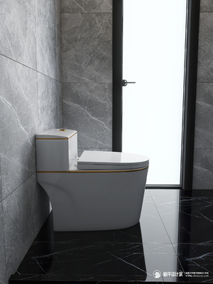 White Gold Siphon Flushing Modern Toilet Bowl Ceramic One Piece