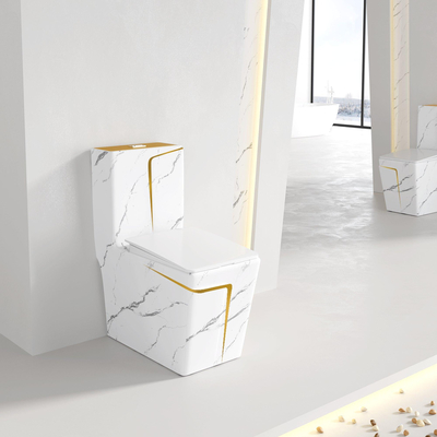 American Standard ADA Floor Standing Toilet Gold Marbling Square