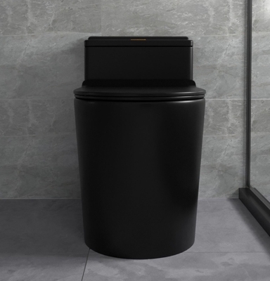 Siphon Flushing Matte Black Toilet One Piece Bathroom Ceramic Sets