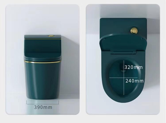 Ceramic One Piece Siphonic Flush Toilet Colorful Water Saving Tank