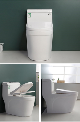Siphonic S Trap 300mm Sanitary Ware Toilet Modern Comfort Height