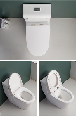 Siphonic S Trap 300mm Sanitary Ware Toilet Modern Comfort Height
