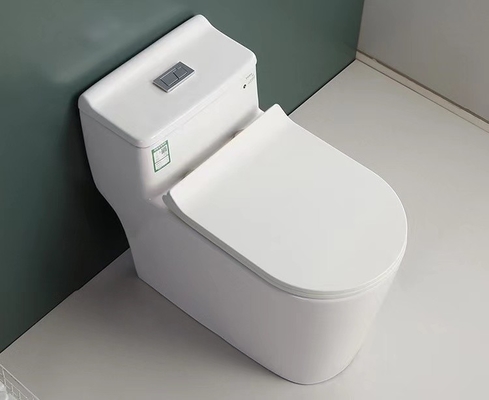 S Trap One Piece Chair Height Toilet Dual Flush Mix Pit Spacing 220mm