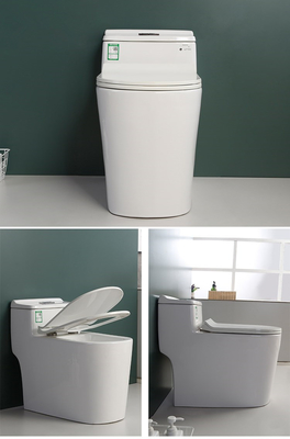 S Trap One Piece Chair Height Toilet Dual Flush Mix Pit Spacing 220mm