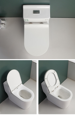 S Trap One Piece Chair Height Toilet Dual Flush Mix Pit Spacing 220mm