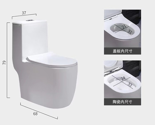 Dual Flush Washdown Siphonic One Piece Toilet Models P Trap S Trap