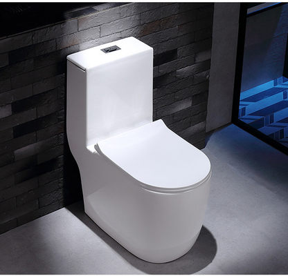 Dual Flush Washdown Siphonic One Piece Toilet Models P Trap S Trap