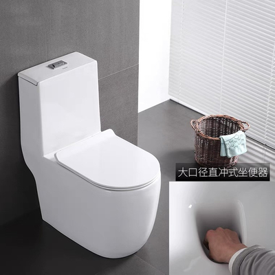 Dual Flush Washdown Siphonic One Piece Toilet Models P Trap S Trap