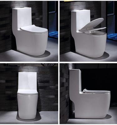 Dual Flush Washdown Siphonic One Piece Toilet Models P Trap S Trap