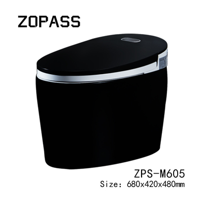 Ceramic Tankless Smart Intelligent Toilet Siphonic Self Cleaning