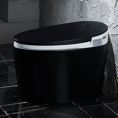 Ceramic Tankless Smart Intelligent Toilet Siphonic Self Cleaning