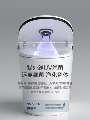 Siphon Flushing Smart Flush Toilet One Piece Intelligent Self Washing