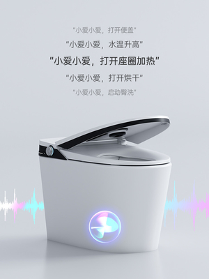 Siphon Flushing Smart Flush Toilet One Piece Intelligent Self Washing