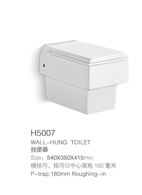 White P Trap Rimless Wall Hung Toilet Bowl One Piece With Bidet